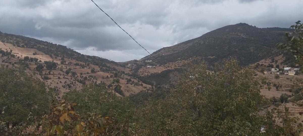 Panoramic ketama - Housity