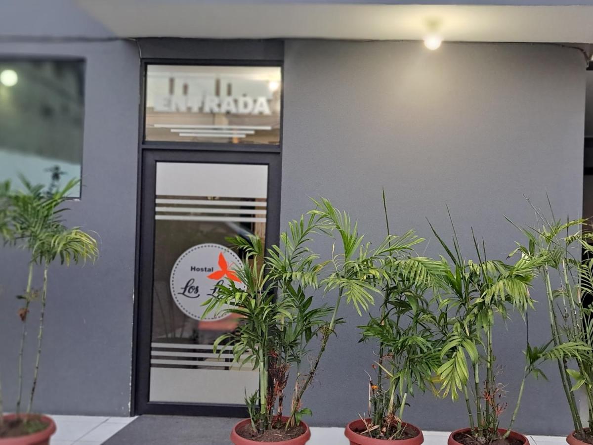 Hostal Los Lirios - Housity