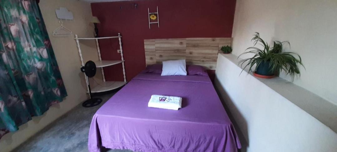 Casa Zoila Hospedaje - Housity