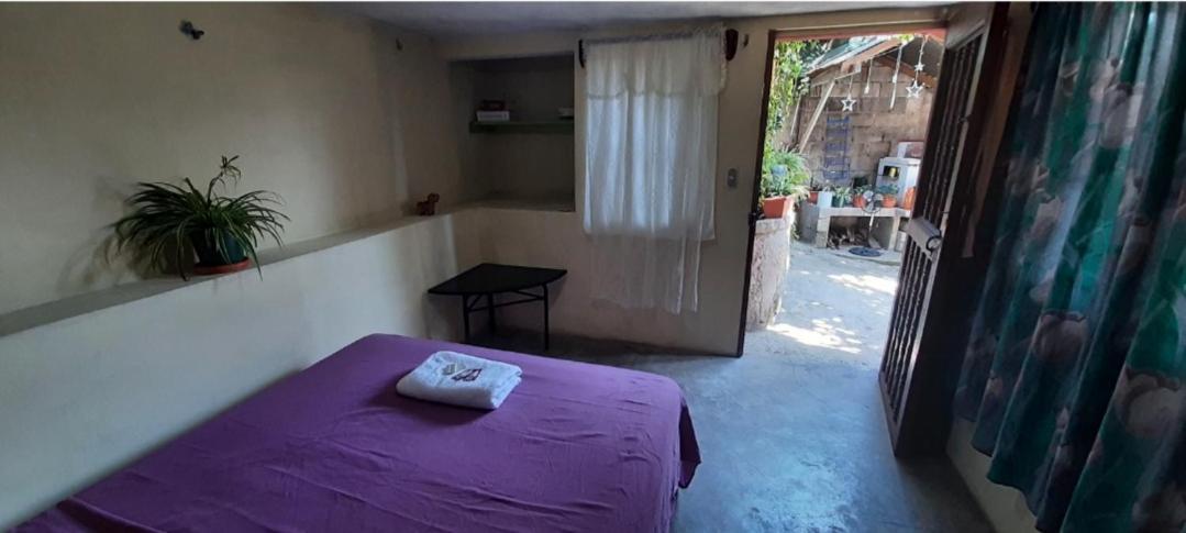 Casa Zoila Hospedaje - Housity
