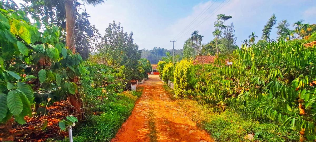 Agastya Lake View Coorg Homestay - Housity