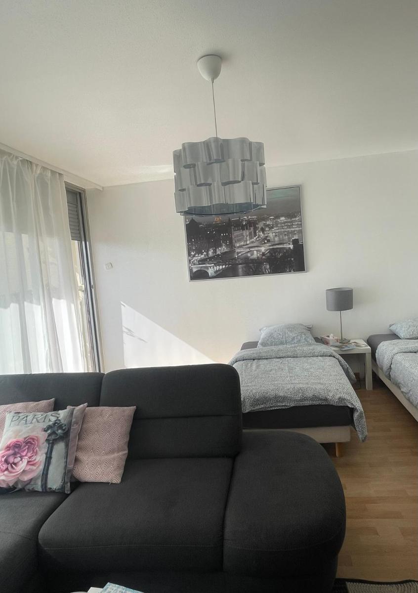 Bel Appartement near Bâle Mulhouse Airport - Housity