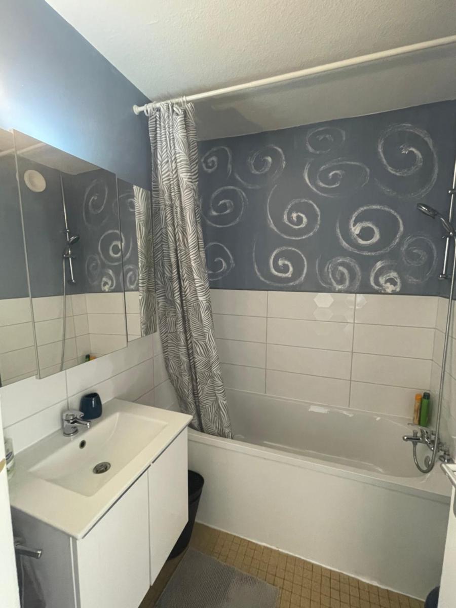 Bel Appartement near Bâle Mulhouse Airport - Housity