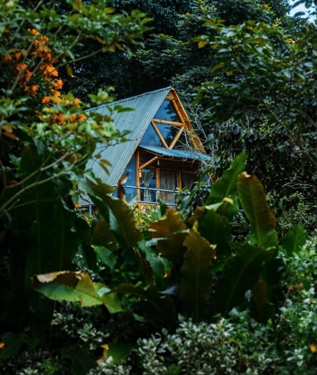 Boscaje Solarpunk Habitat - Housity