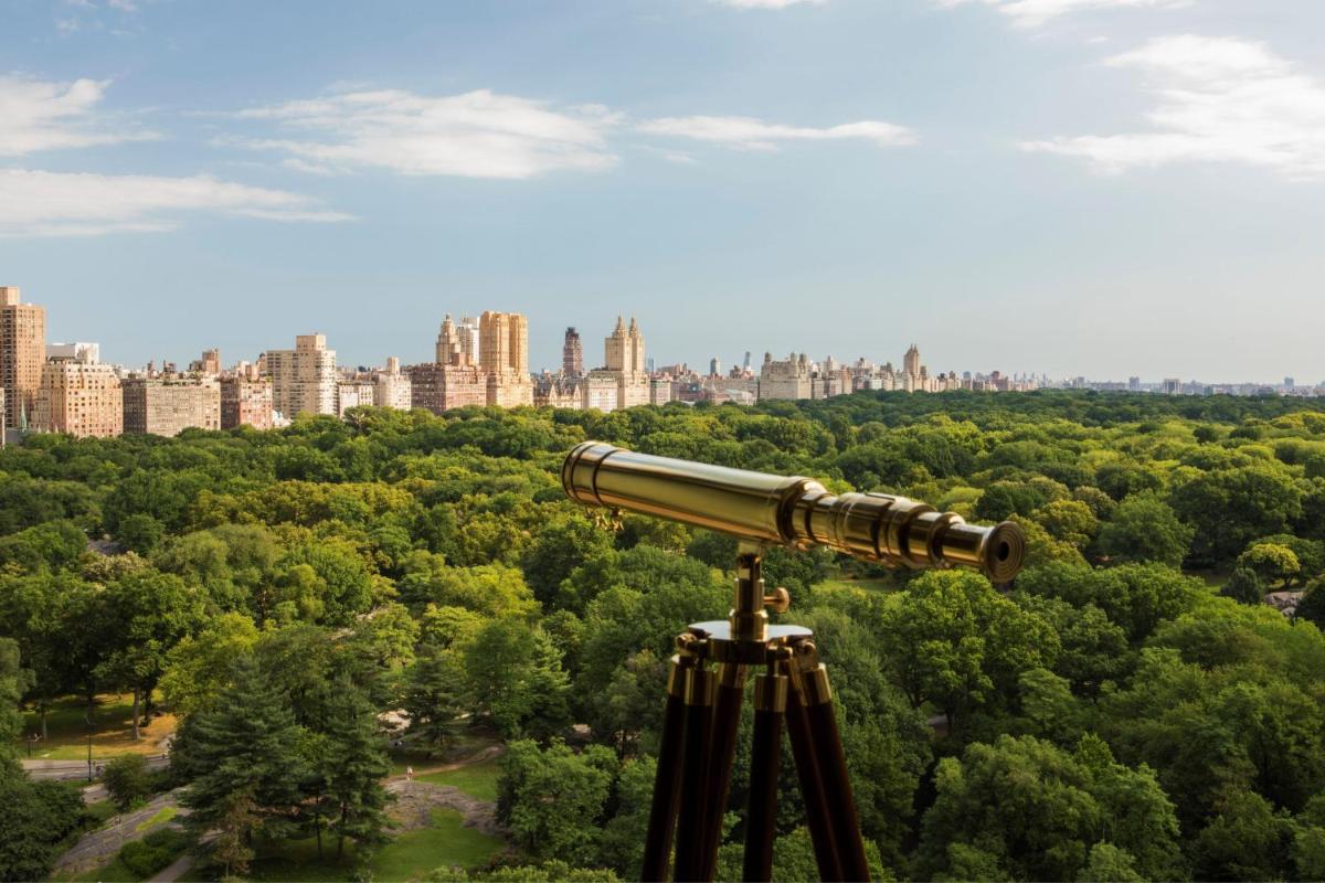 The Ritz-Carlton New York, Central Park - Housity
