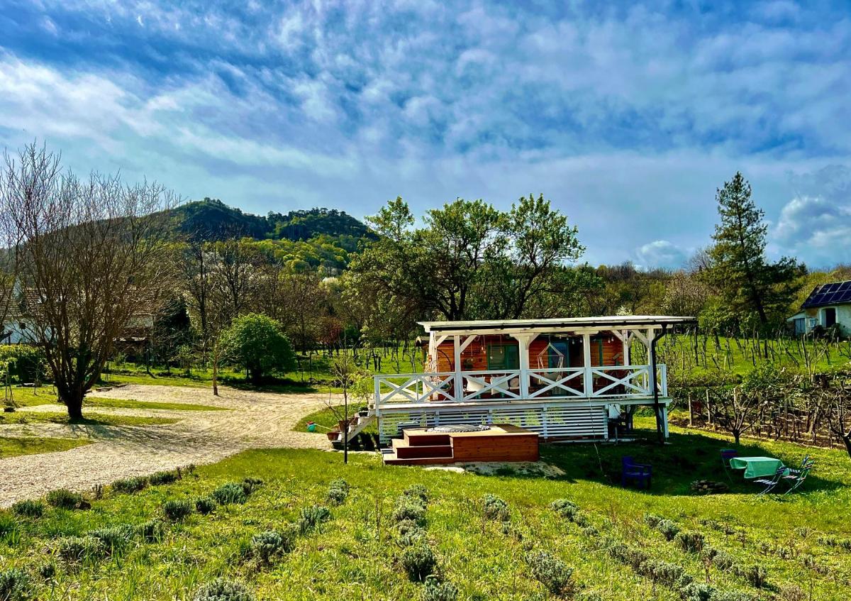 Bohemian Eco lodge át lake Balaton - Housity