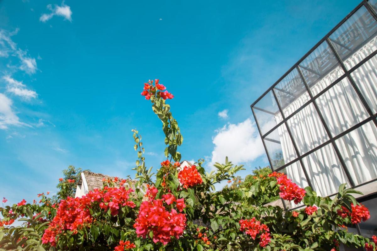 Flores Passport House - Housity