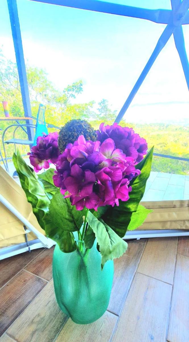 Ararat Eco Farm - Housity