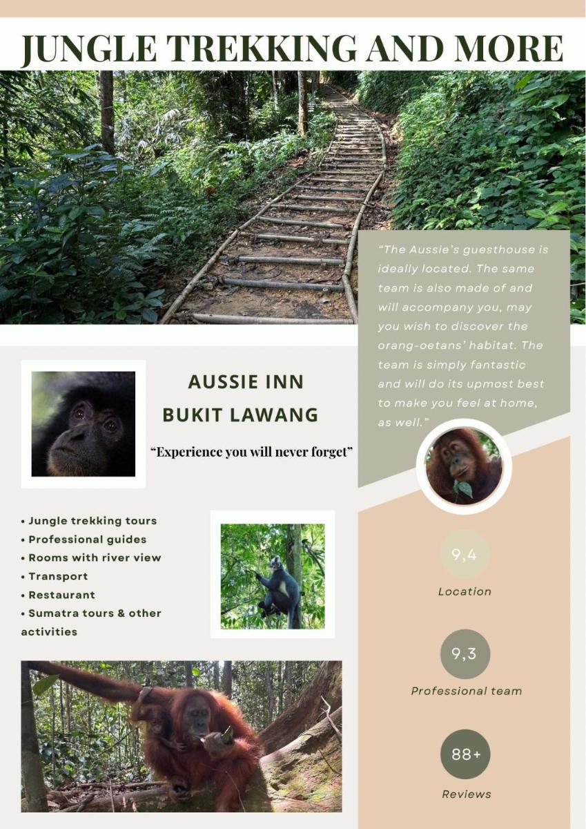 Aussie Inn Bukit Lawang - Housity