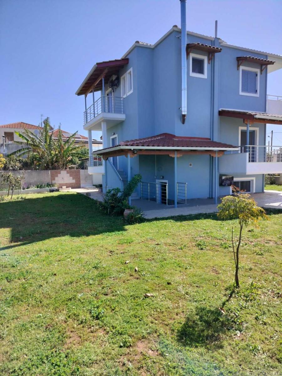 Ada's House - Housity