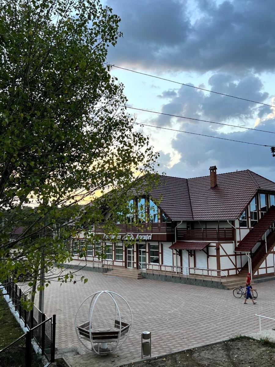 Pensiunea Ancuței - Housity