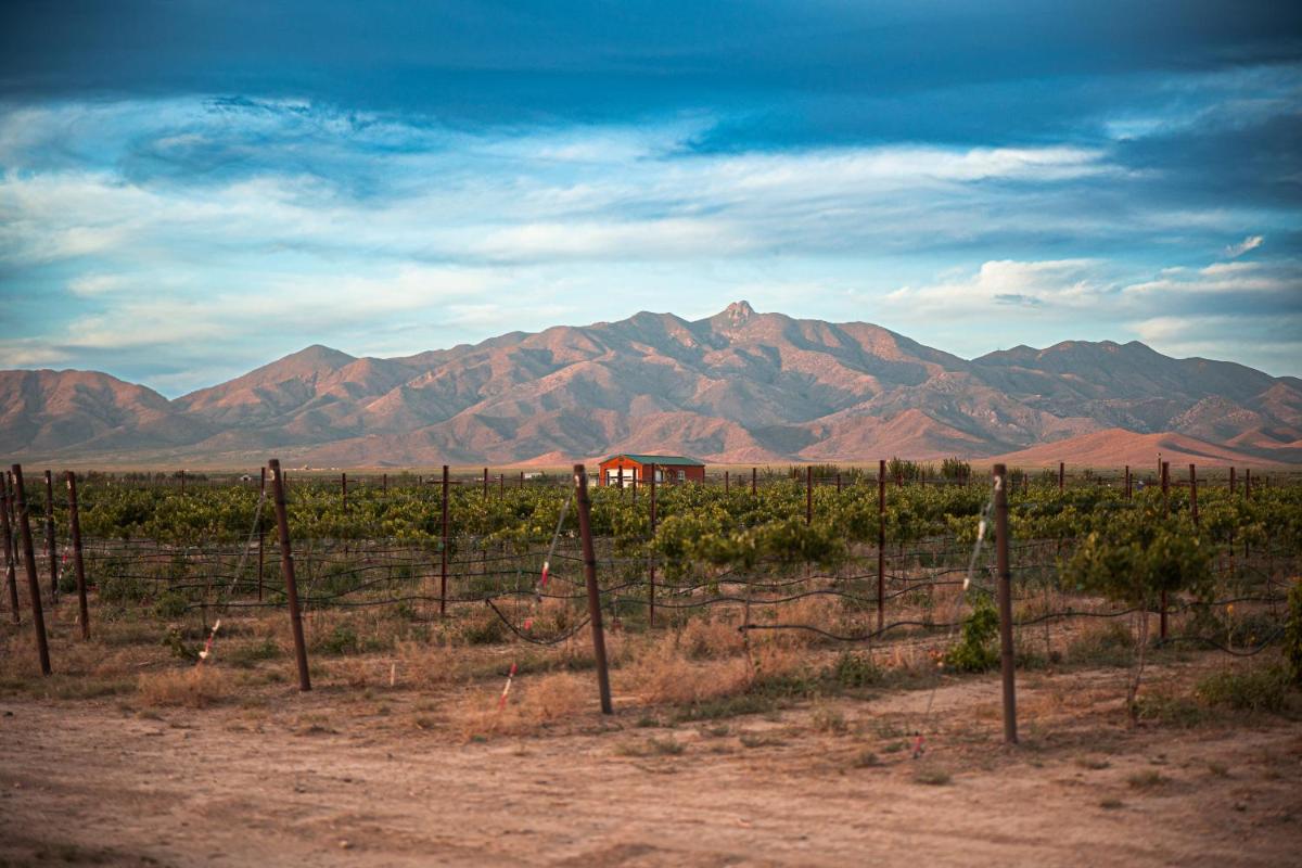 Casa Barbera at Tirrito Farm - Housity