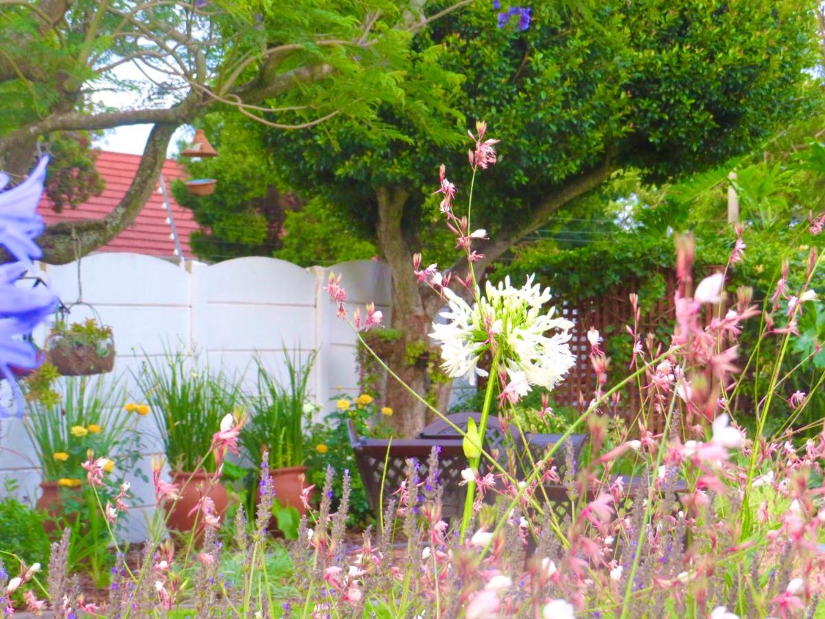 Whistlewood Guesthouse Walmer, Port Eizabeth - Housity