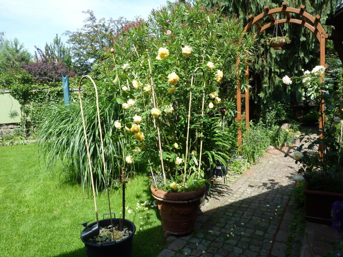 Ferienwohnung Friedrichshagen - Housity