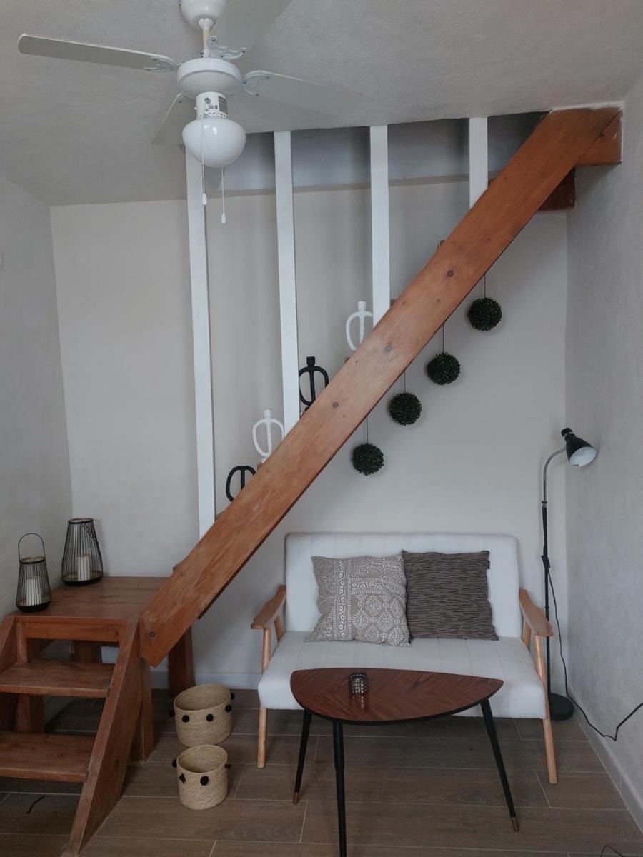 Pura Vida Vejer - Housity