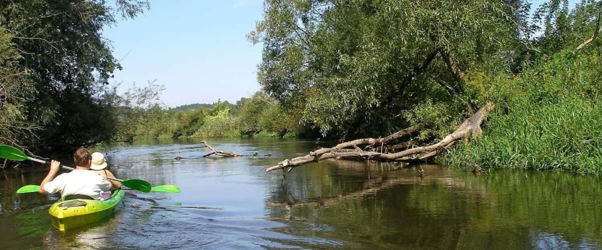 NA SKRAJU PUSZCZY Zabłotczyzna DOMEK NA PODLASIU - Housity