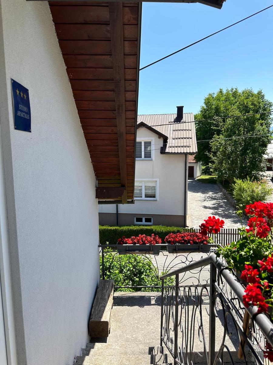 Mašenka - Housity