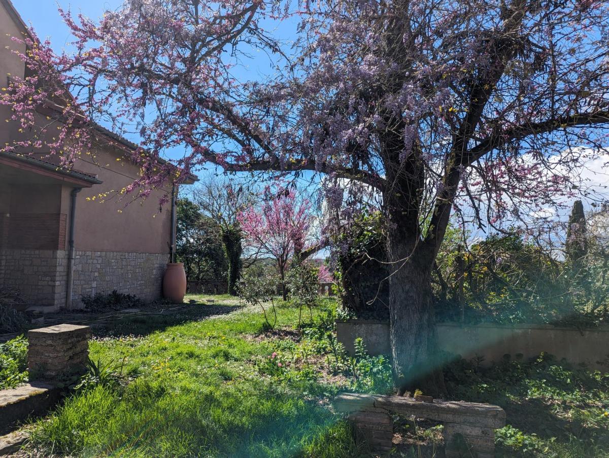 Moustier - Housity