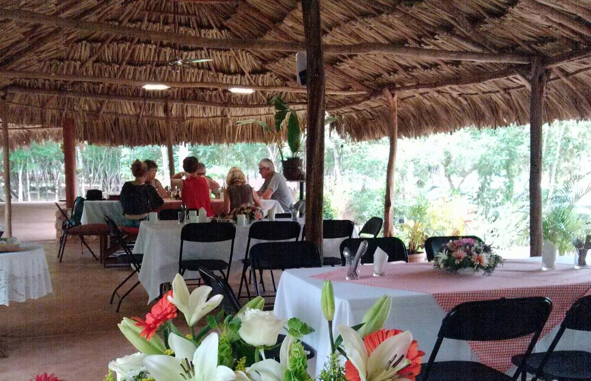 Eco-Hotel Nueva Altia - Housity