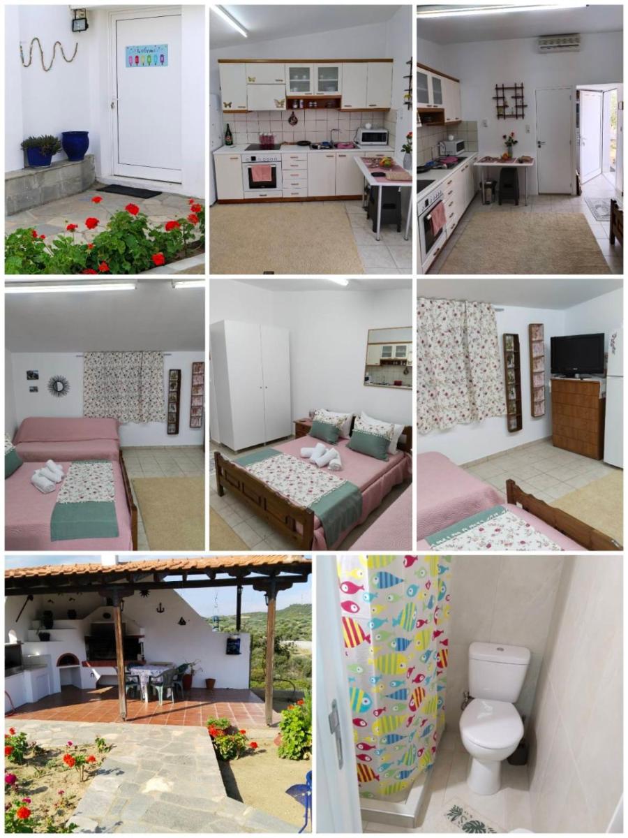 Mountain Top Eleochori Βουνοκορφή - Housity