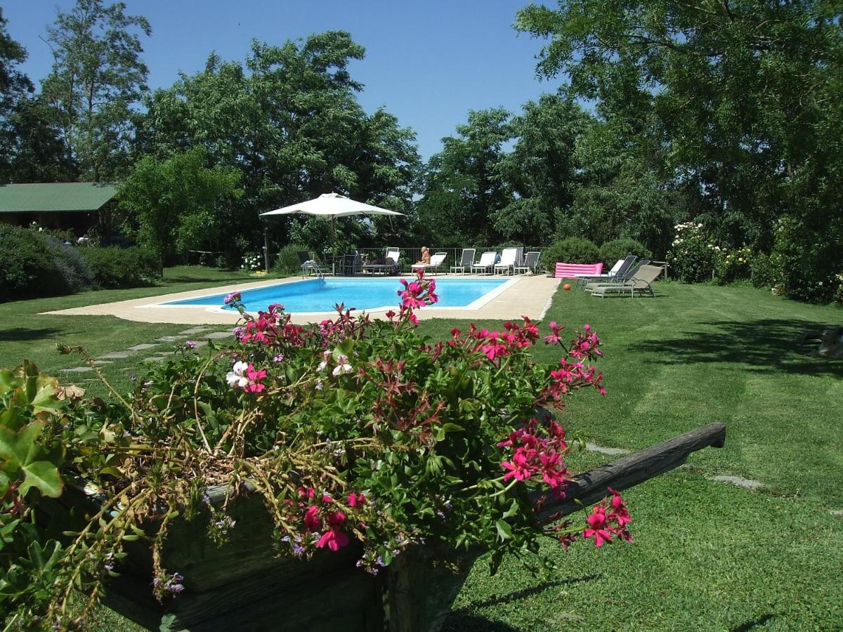 Green House near Civita di Bagnoregio - amazing panoramic view - Free Wi-fi - Housity