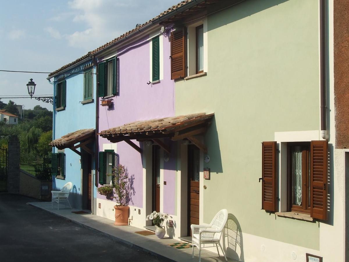 Green House near Civita di Bagnoregio - amazing panoramic view - Free Wi-fi - Housity