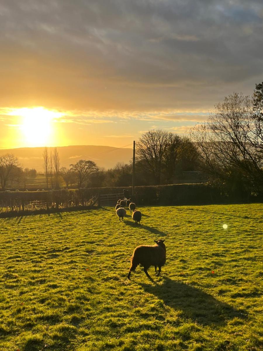Wye View Lodge, Hay View Lodges - Housity