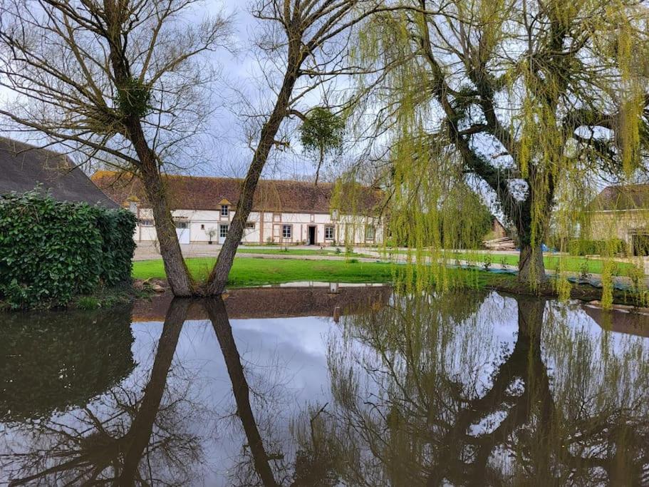Gîte au Haras d'Agathe et ses princes - Housity