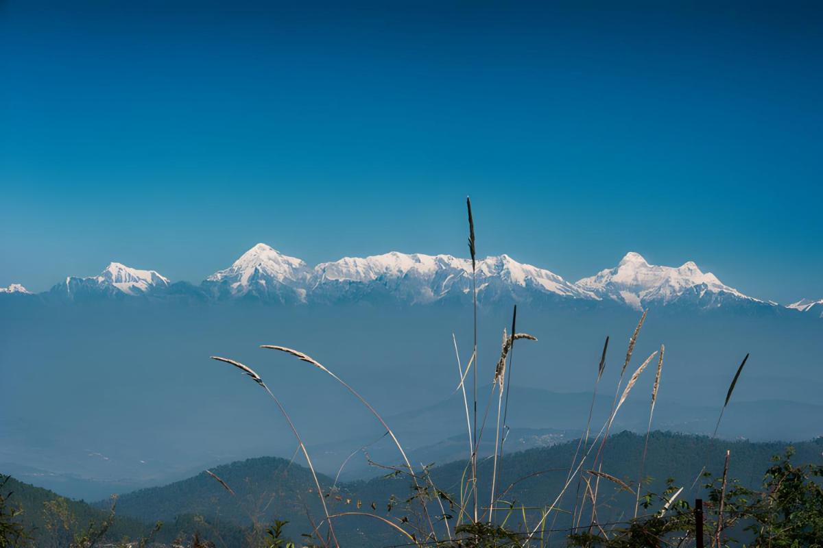 The Lookout - Luxurious Villa at Mukteshwar - Housity