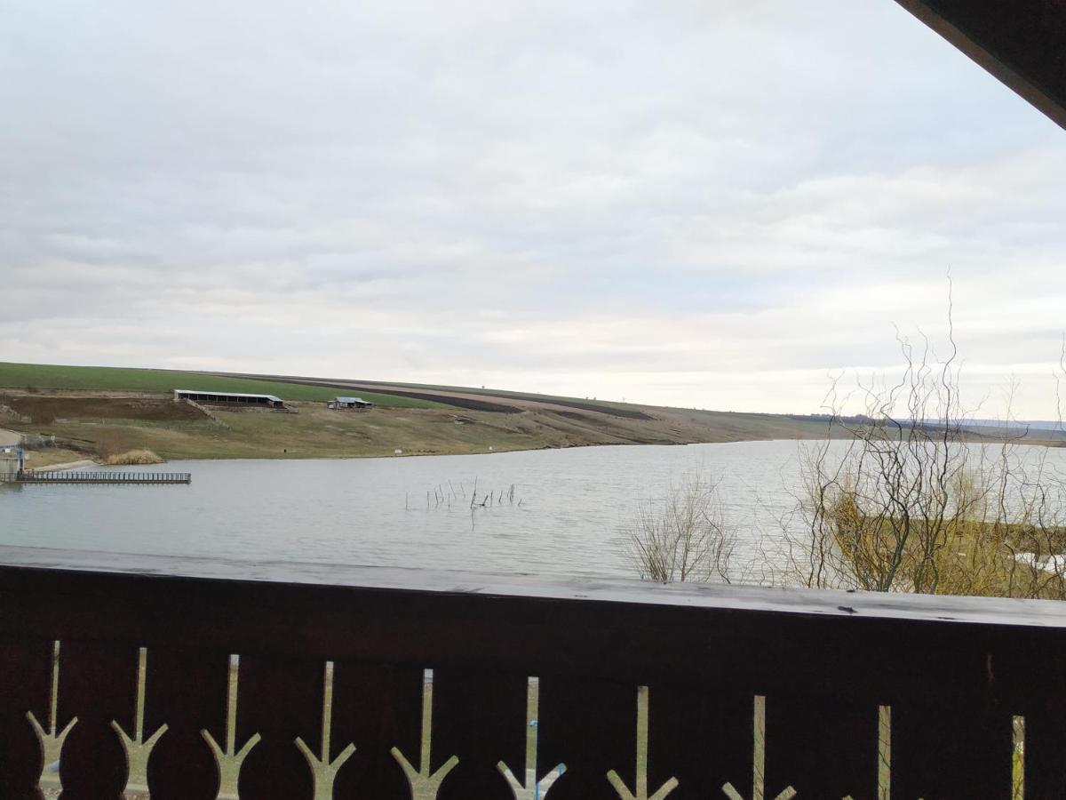 Lacul de Argint - Housity