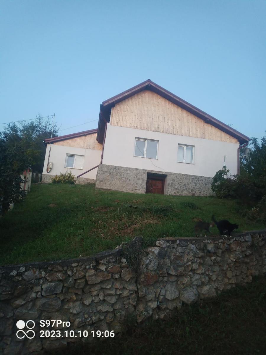Zimmer frei "Cosmina" - Housity