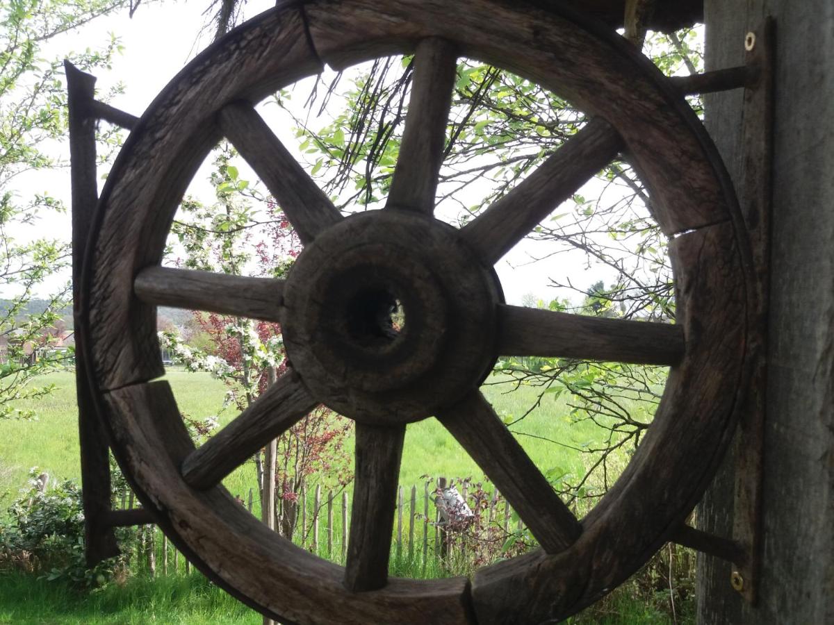 Cabane La tête dans les étoiles - Housity