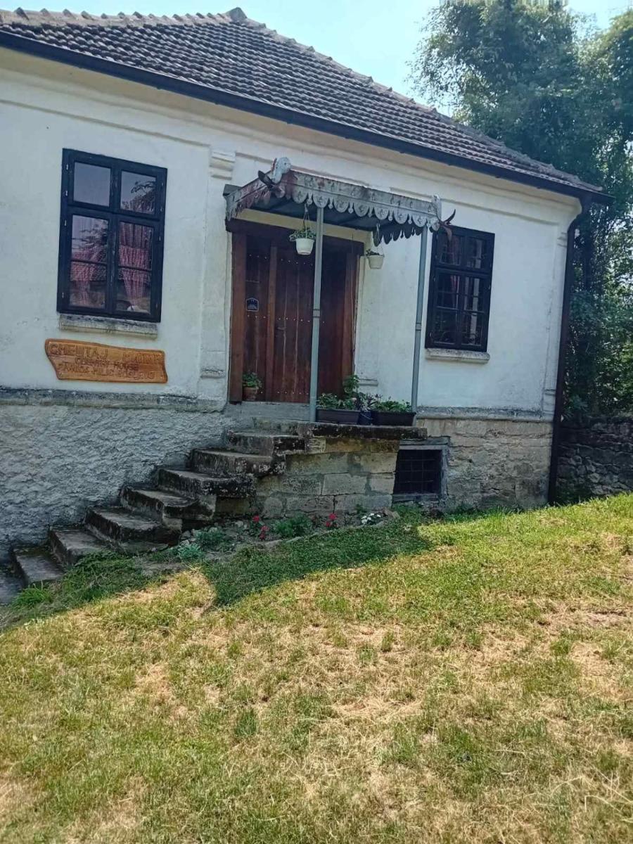 Country house pivnica Milic Rogljevo - Housity