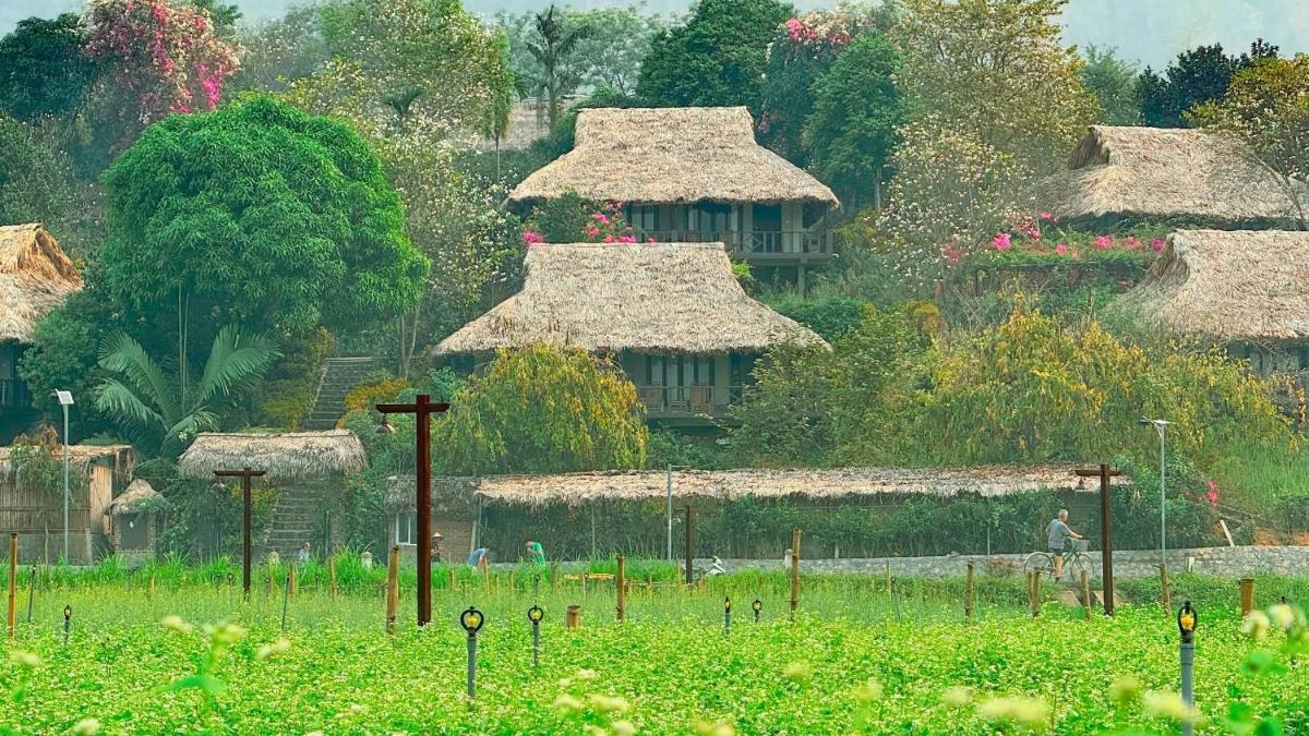 Mai Chau Ecolodge - Housity
