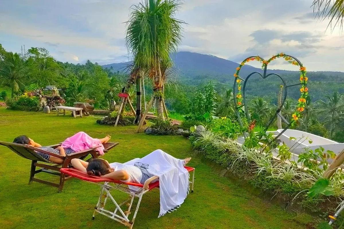 KTS - Kubu Tepi Sawah - Housity