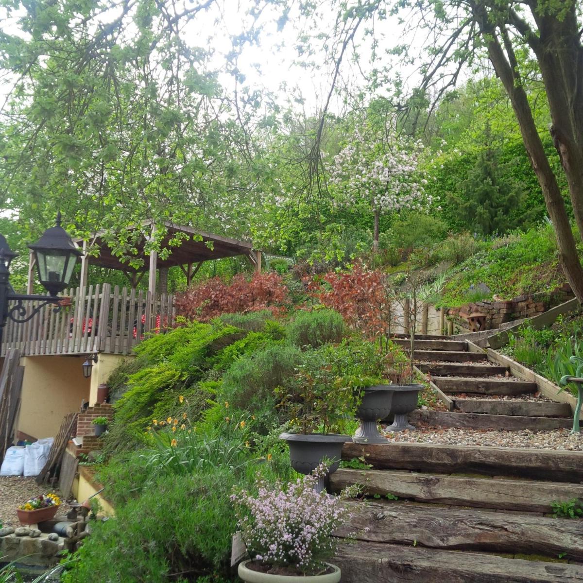 DUCK HOUSE - Housity