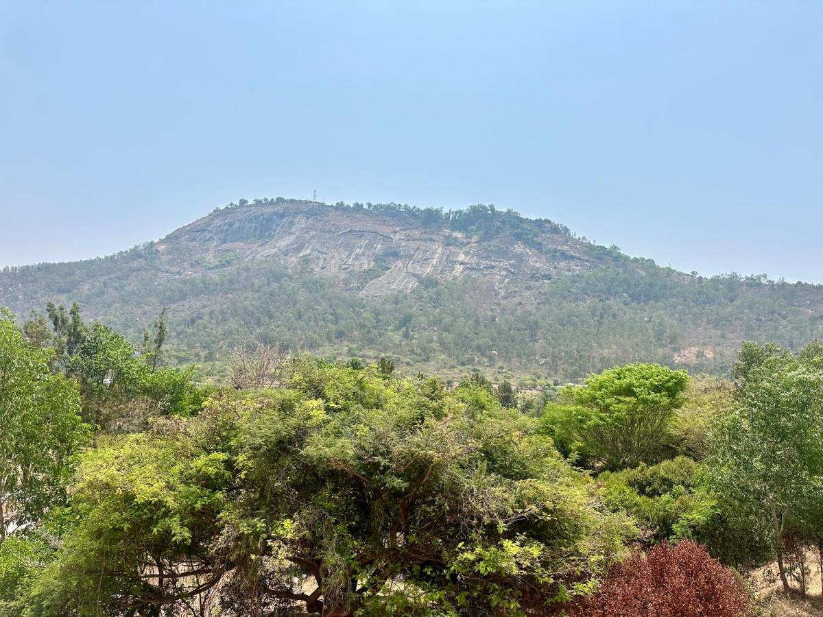 Summer House Nandi Foothills - Housity