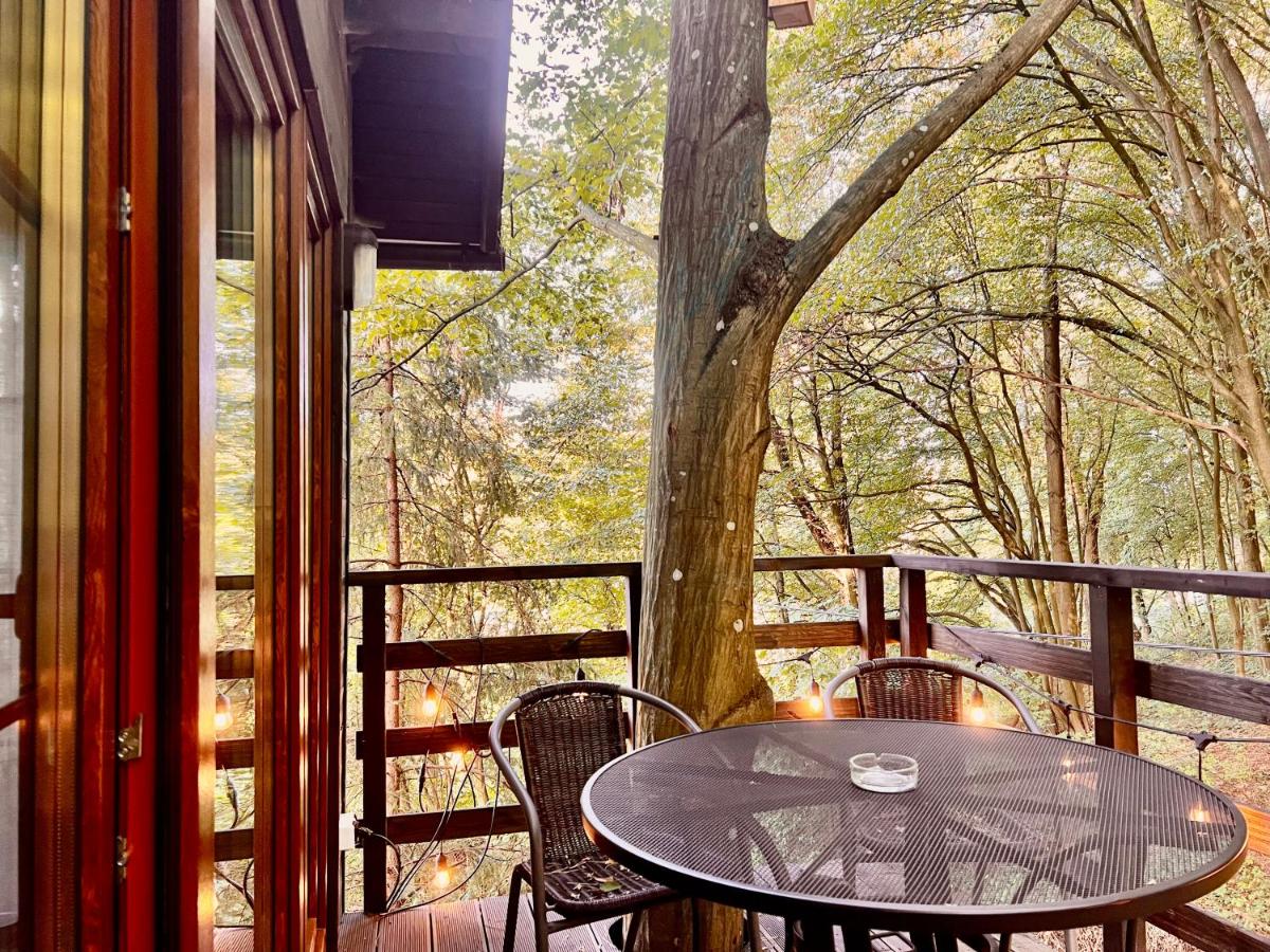 Na Skraju Lasu Domek na Drzewie & Glamping - Hizvo