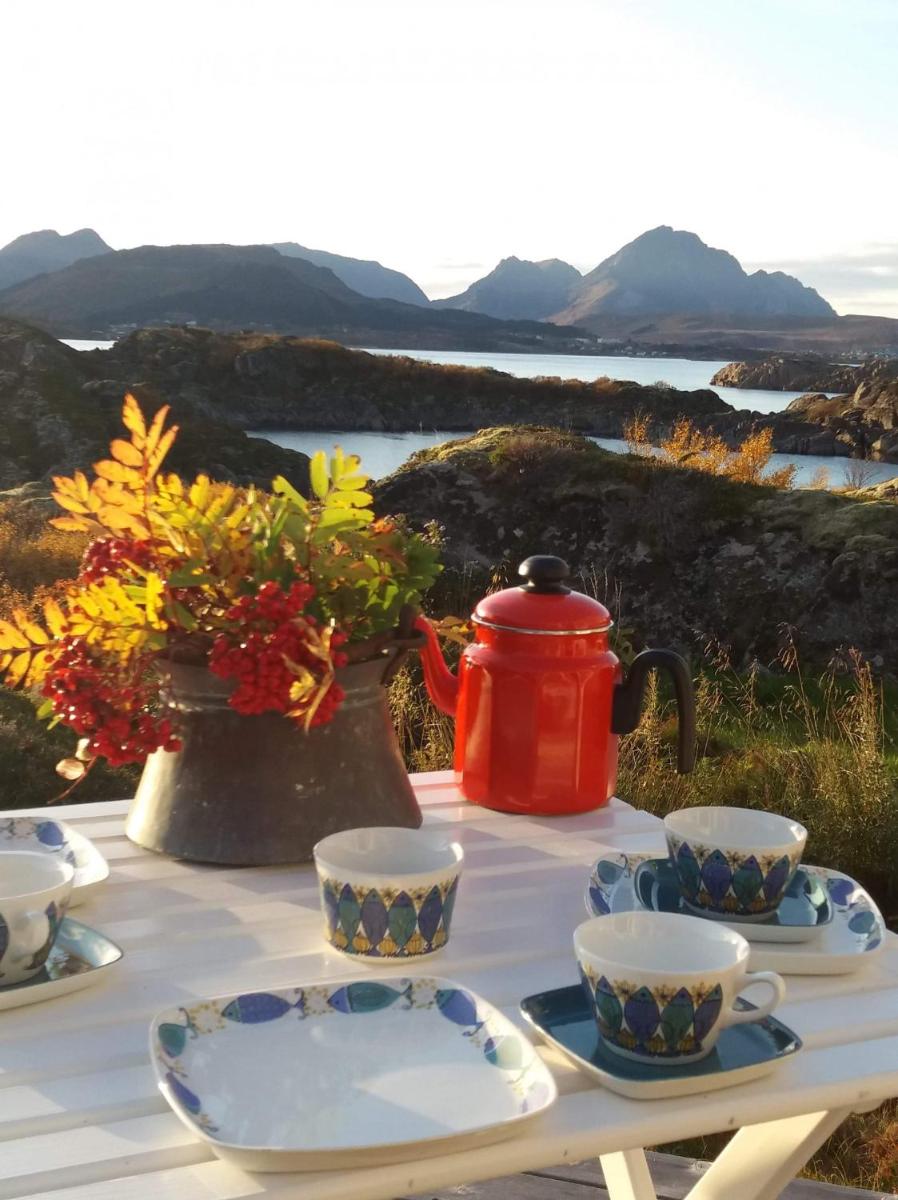 Unique private cabin in Lofoten - Housity