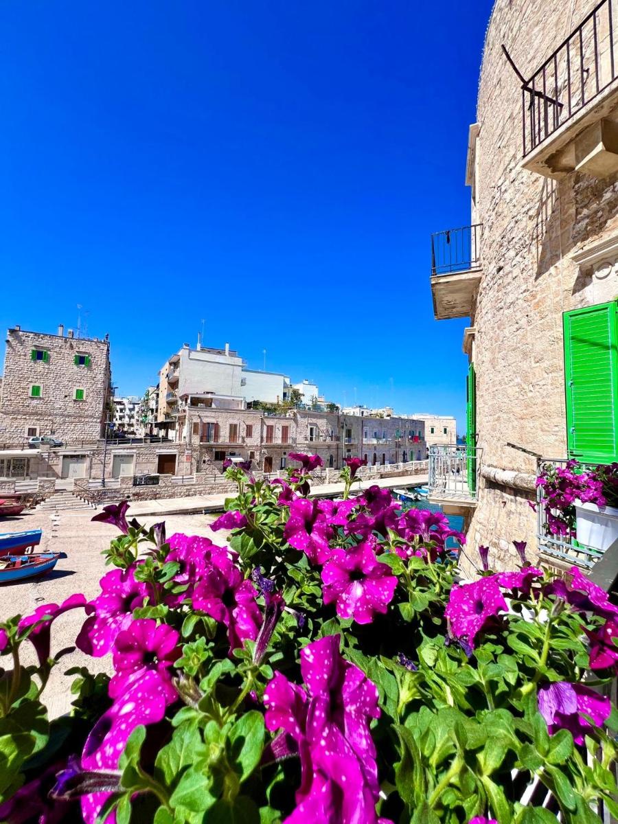 Torrione Apartment - Housity