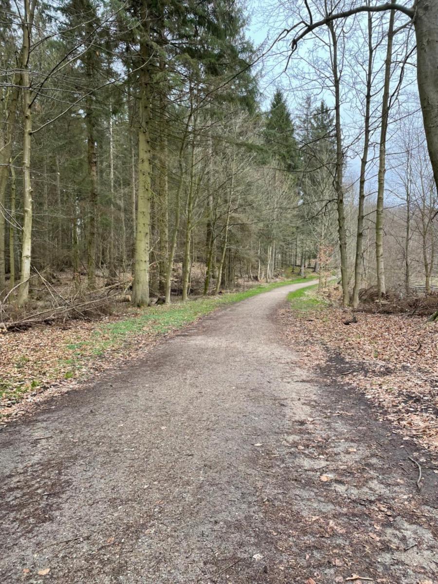 Jonstrupvejens Apartments Lejl B - Housity