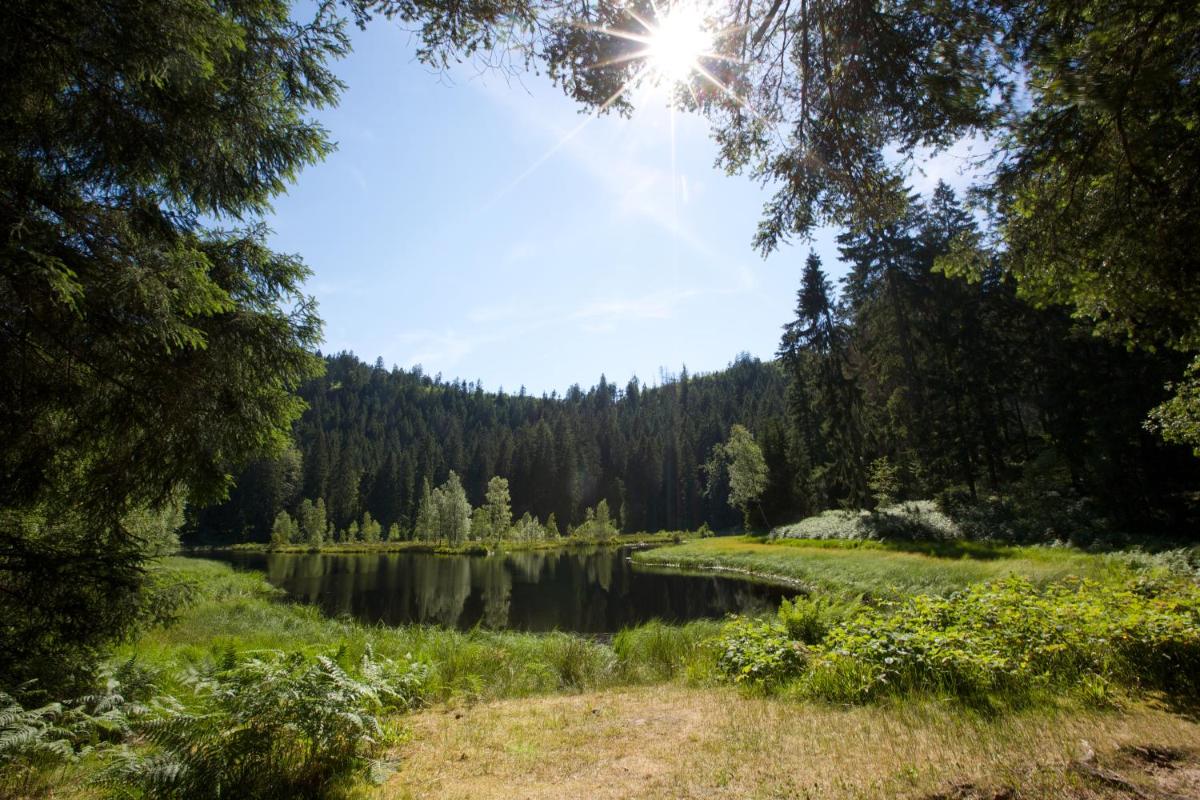 Naturlandschaft in der Nähe des Hotels