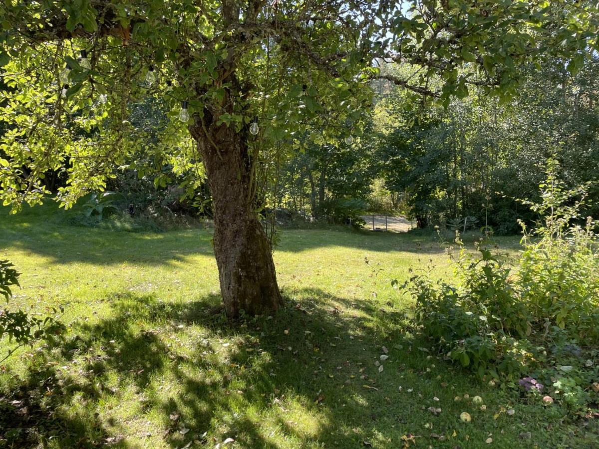 Genuine 100 year old countryside cottage - Housity