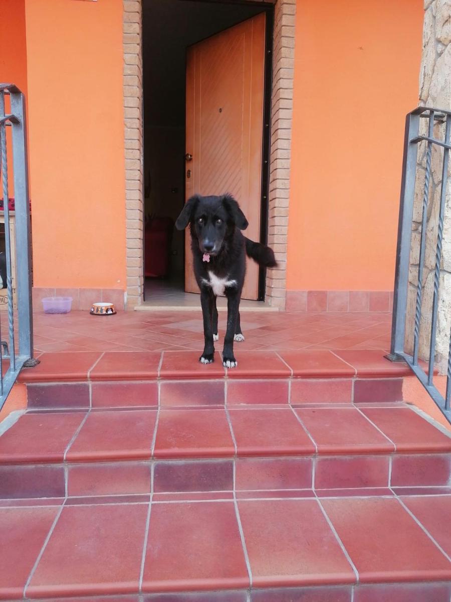 Casa vacanza da Mauro - Housity