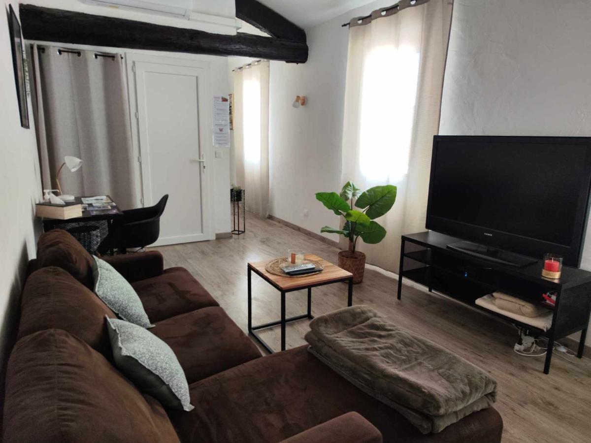 Appartement de Charme L'Isle-sur-la-Sorgue sur la Sorgues - Housity