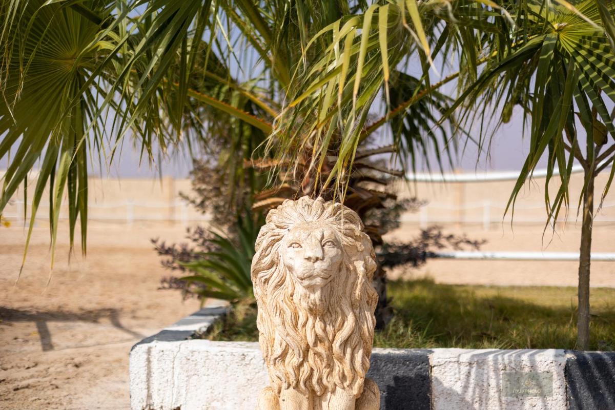 Working Line Traditional Equestrian Centre - Housity