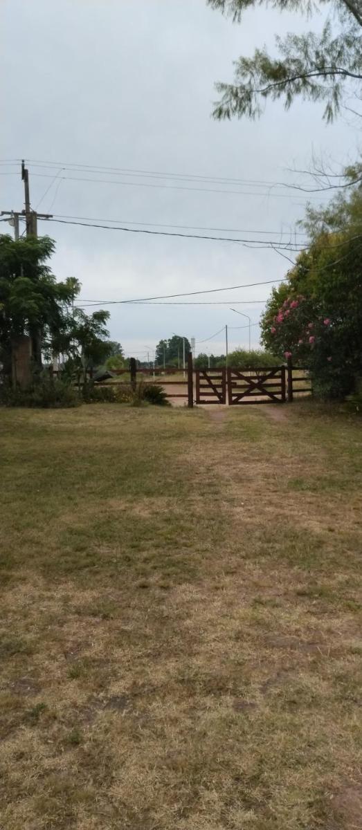 La lechuza - Housity