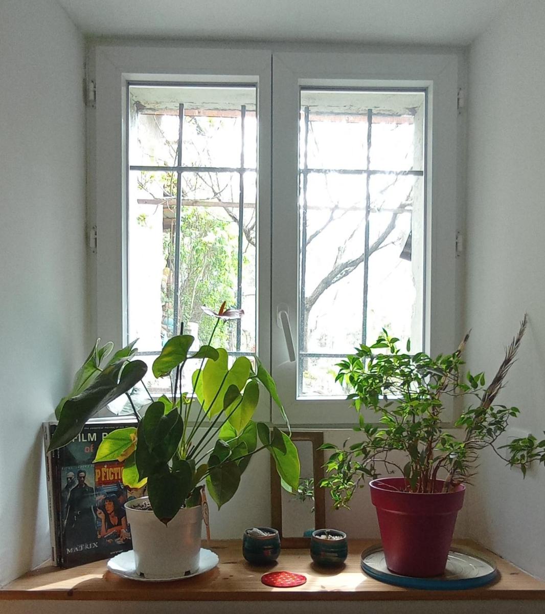 Alexa et compagnie - Housity