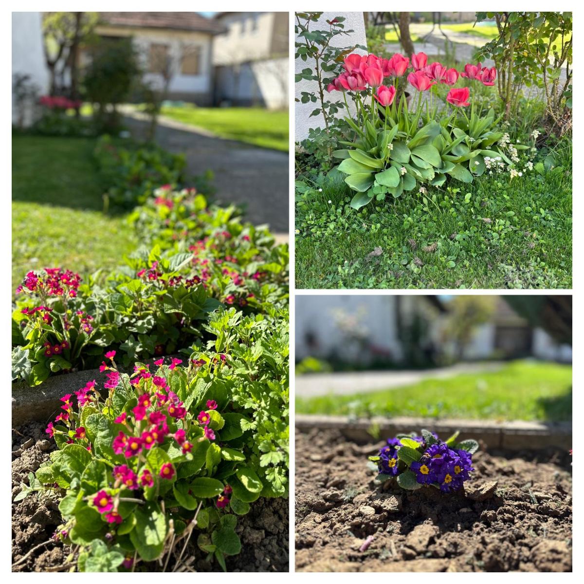 Garden Guesthouse - Housity