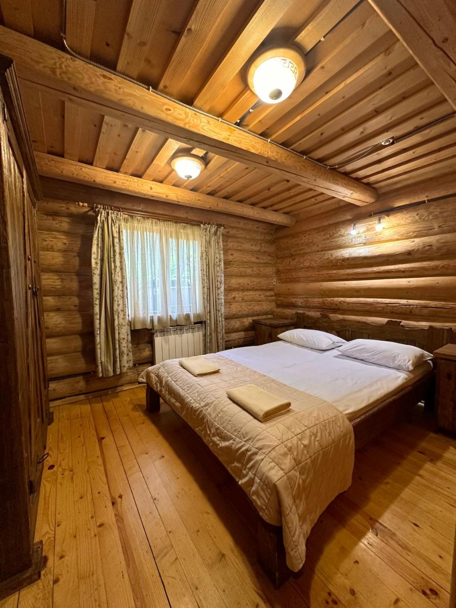 Shipovec poroshkovo1 - Housity